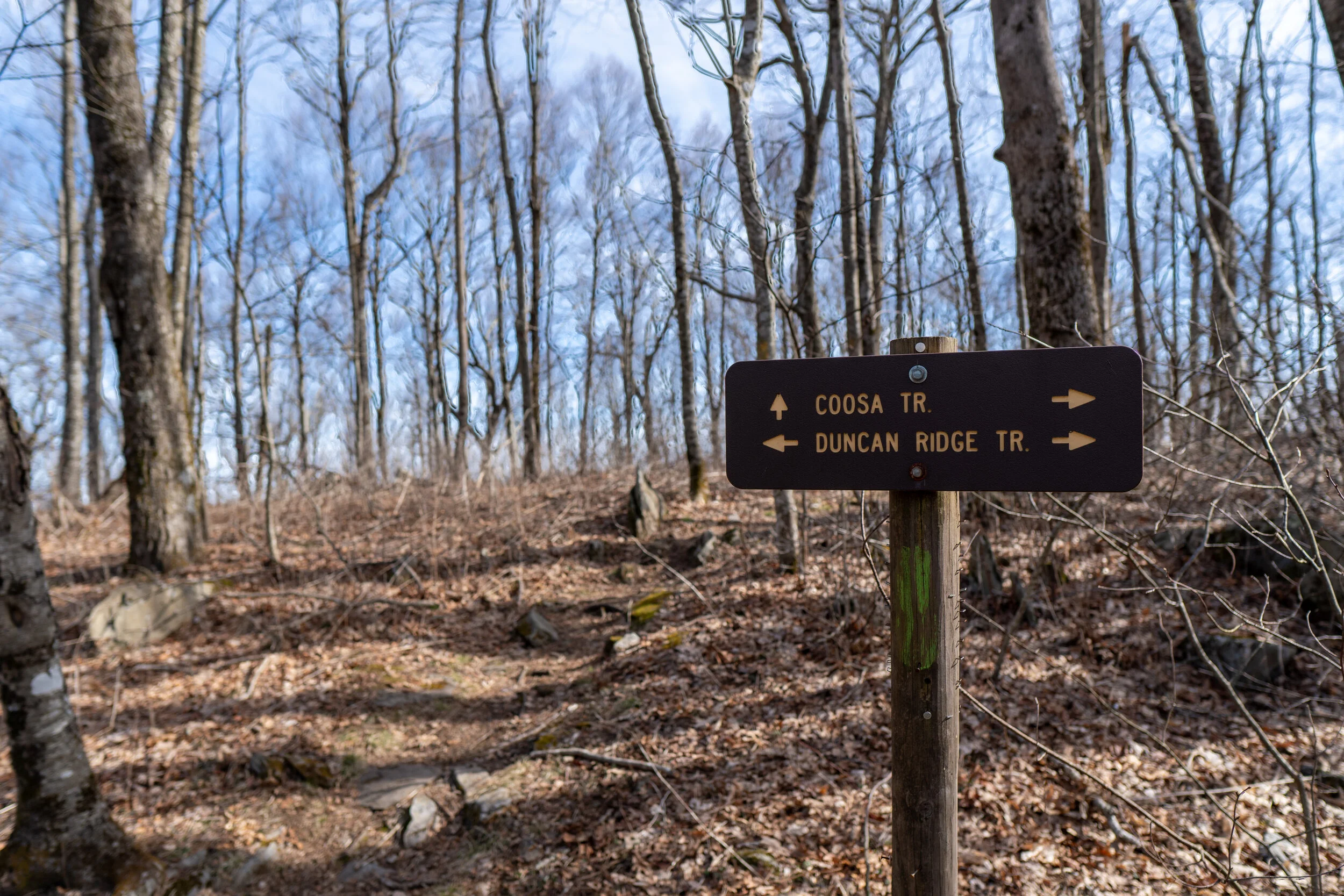 Coosa Backcountry Trail Grimace On The Trail